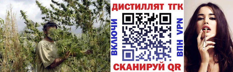 закладка  Сосновка  Дистиллят ТГК концентрат 